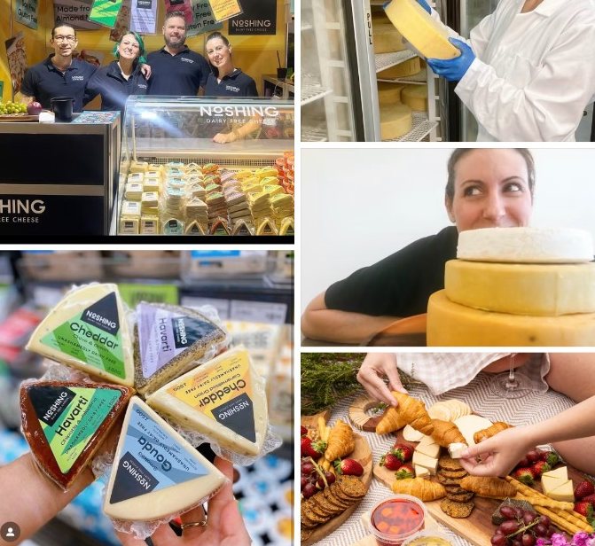 Noshing team, production, and cheese